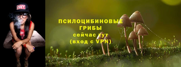 твердый Алексеевка