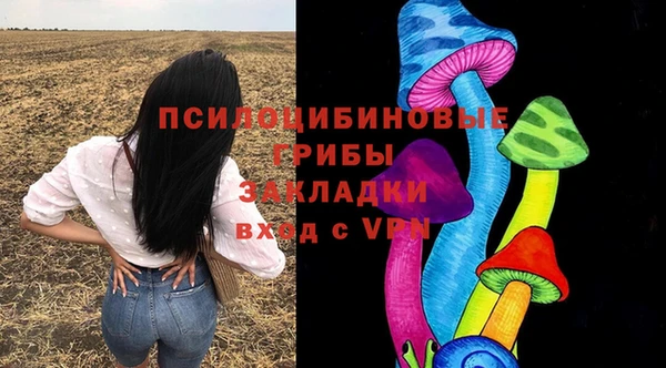 твердый Алексеевка
