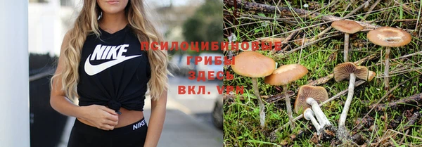 твердый Алексеевка