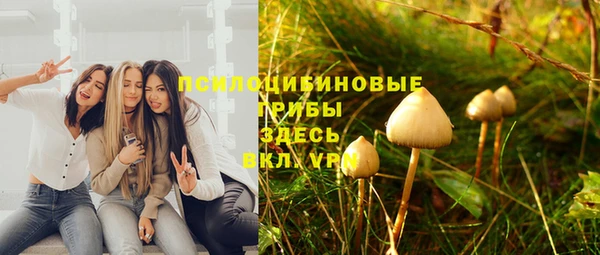 твердый Алексеевка