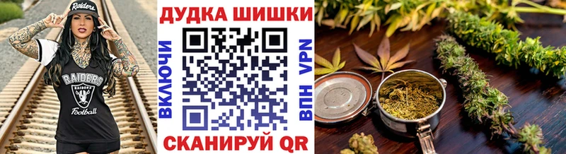 купить наркоту  Бакал  Канабис план 